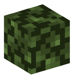 Minecraft head — Plants