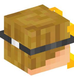 Minecraft head — People