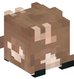 Minecraft head — Decor