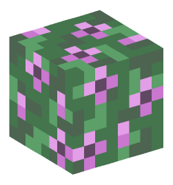 Minecraft head — Plants