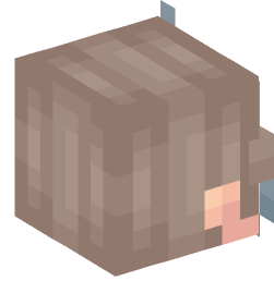 Minecraft head — People