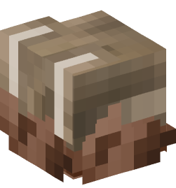 Minecraft head — Decor