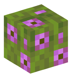 Minecraft head — Plants