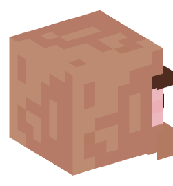 Minecraft head — Creatures