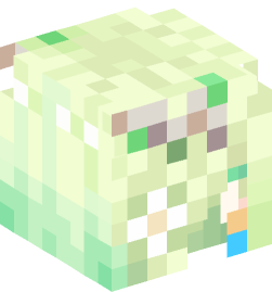 Minecraft head — People