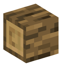 Minecraft head — Blocks