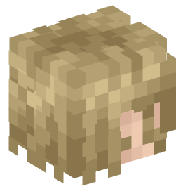 Minecraft head — People