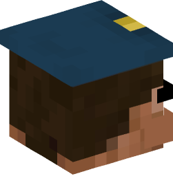 Minecraft head — People