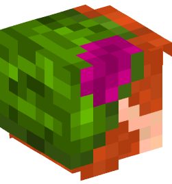 Minecraft head — People