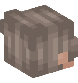 Minecraft head — People