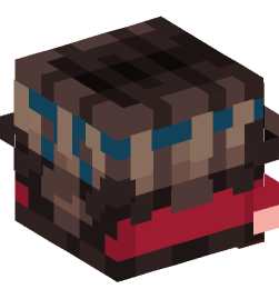 Minecraft head — Decor