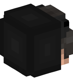 Minecraft head — People