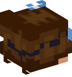 Minecraft head — People