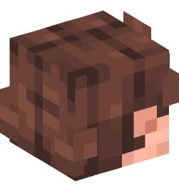 Minecraft head — People