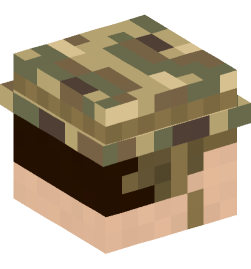 Minecraft head — People