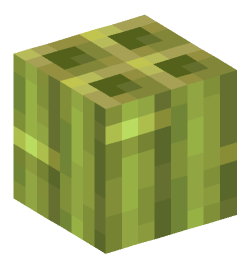 Minecraft head — Blocks