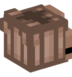 Minecraft head — People