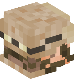 Minecraft head — People