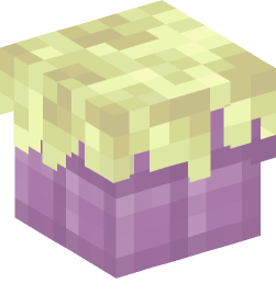 Minecraft head — Blocks