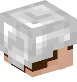 Minecraft head — People