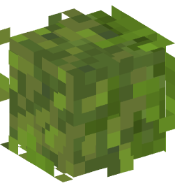 Minecraft head — Plants