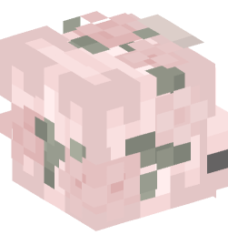 Minecraft head — People