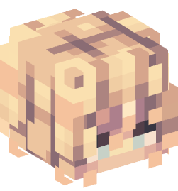 Minecraft head — Miscellaneous