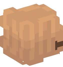 Minecraft head — People