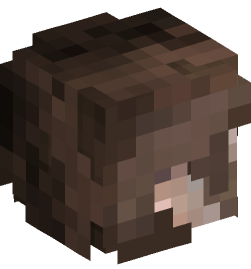 Minecraft head — People