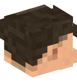 Minecraft head — People