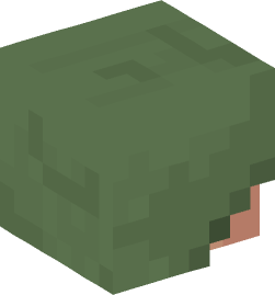 Minecraft head — Creatures