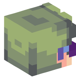 Minecraft head — People