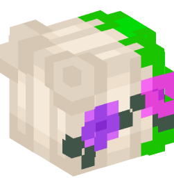 Minecraft head — People