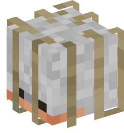 Minecraft head — Creatures