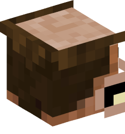 Minecraft head — Creatures