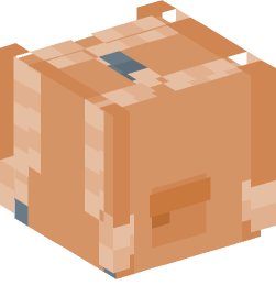 Minecraft head — Decor