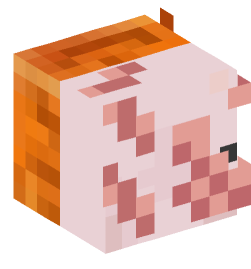 Minecraft head — Animals