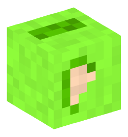 Minecraft head — Creatures