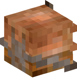 Minecraft head — Creatures