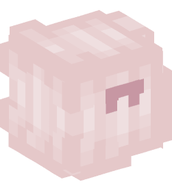 Minecraft head — People