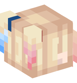 Minecraft head — People