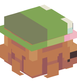 Minecraft head — People