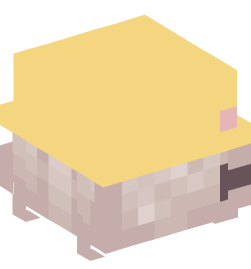 Minecraft head — People