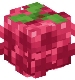 Minecraft head — Plants