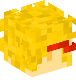 Minecraft head — People