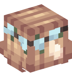 Minecraft head — People