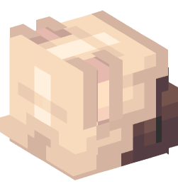 Minecraft head — People