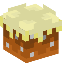 Minecraft head — Blocks