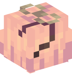 Minecraft head — People