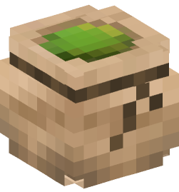 Minecraft head — Decor